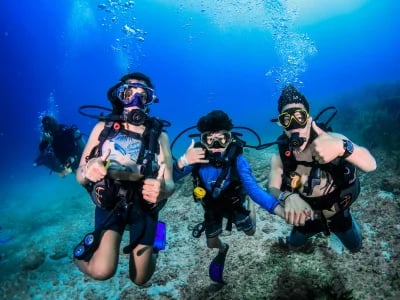 Dive Center Mexiko: Warum DeepDiveMexico Deine erste Wahl ist