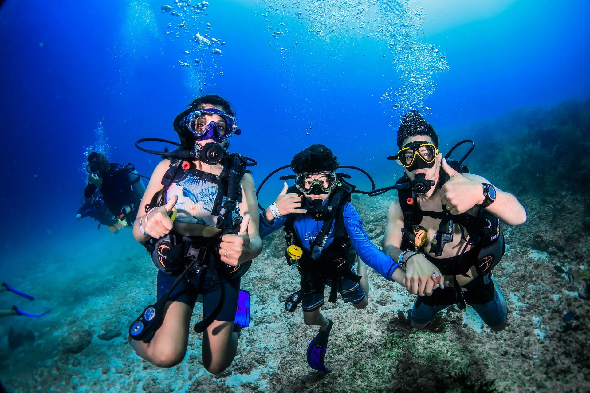 Dive Center Mexiko: Warum DeepDiveMexico Deine erste Wahl ist