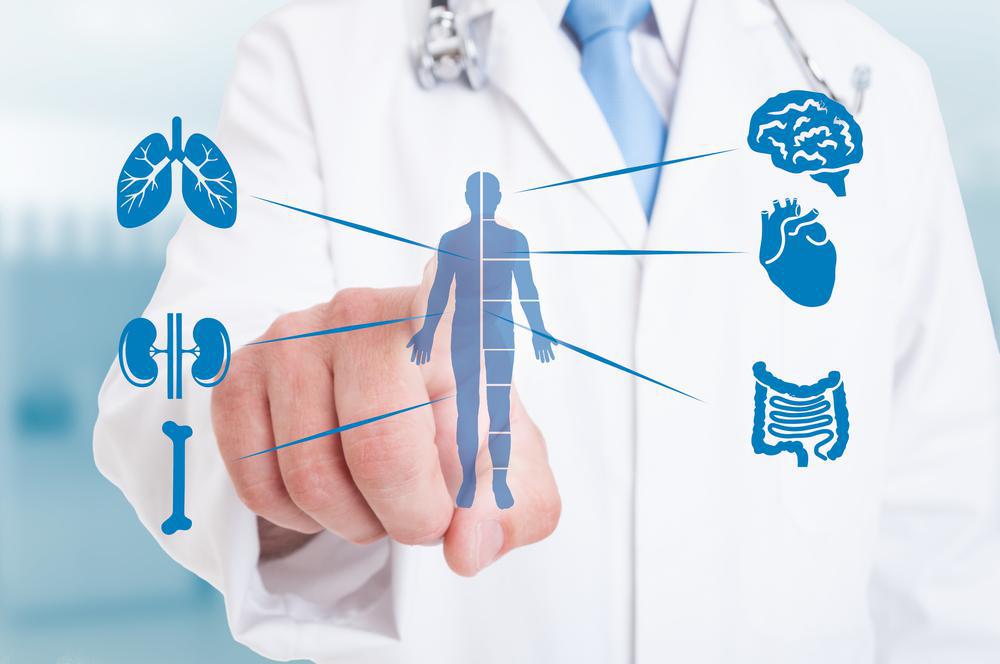 Verborgene Krankheitsursachen aufdecken – was ist funktionelle Medizin?