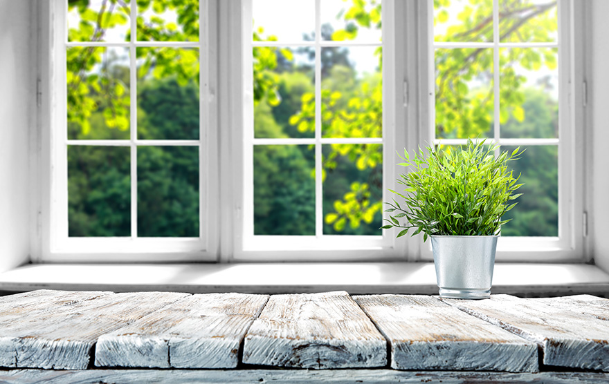 Fenster online: Qualität muss nicht teuer sein