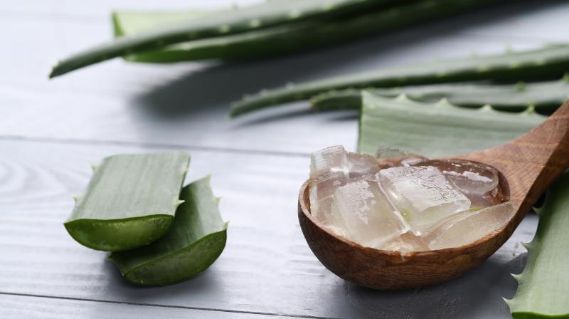 Forever Aloe Vera Gel: Natürlich nähren, hydratisieren und zum Strahlen bringen